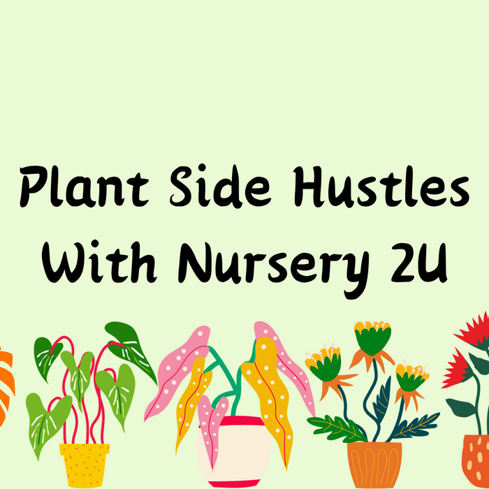 Plant Side Hustles