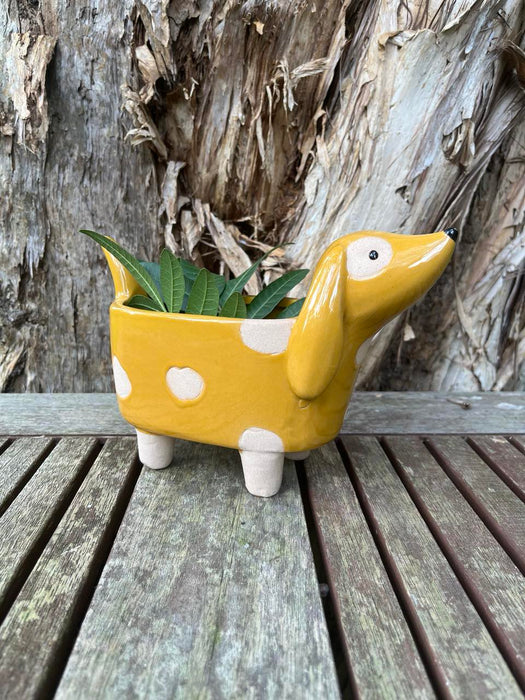 "Dijon" Dog Planter