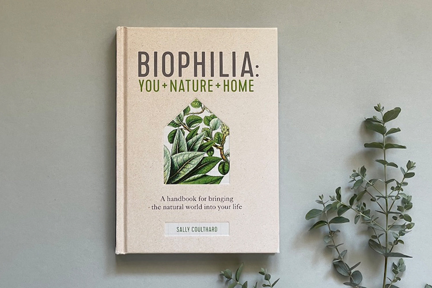 The Science Behind Plants and Stress Relief