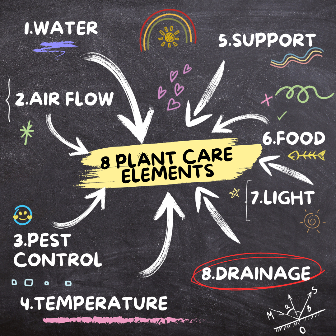Mindfulness Practices with Your Indoor Garden