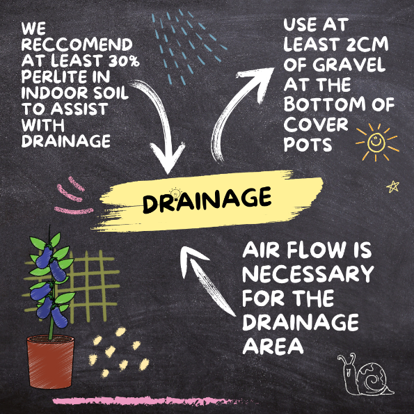 3. Drainage
