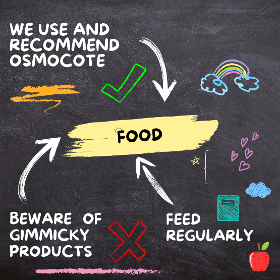 2. Food