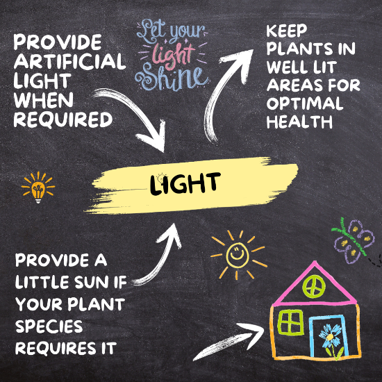 6. Light