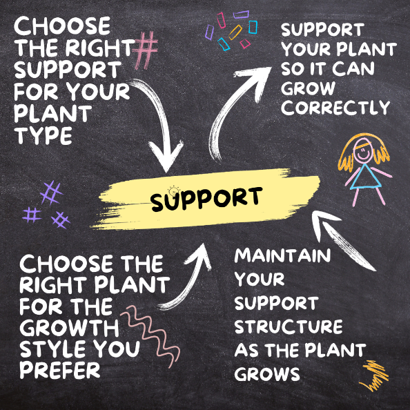 5. Support