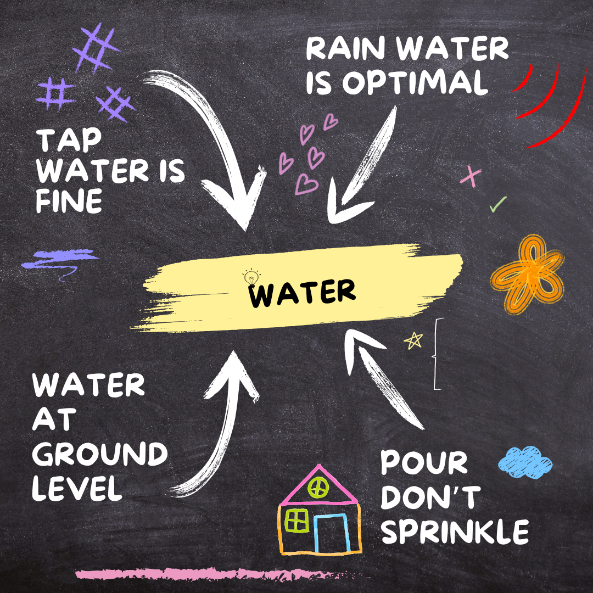 1. Water
