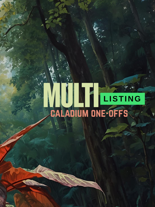 Caladium One-offs Multi Listing