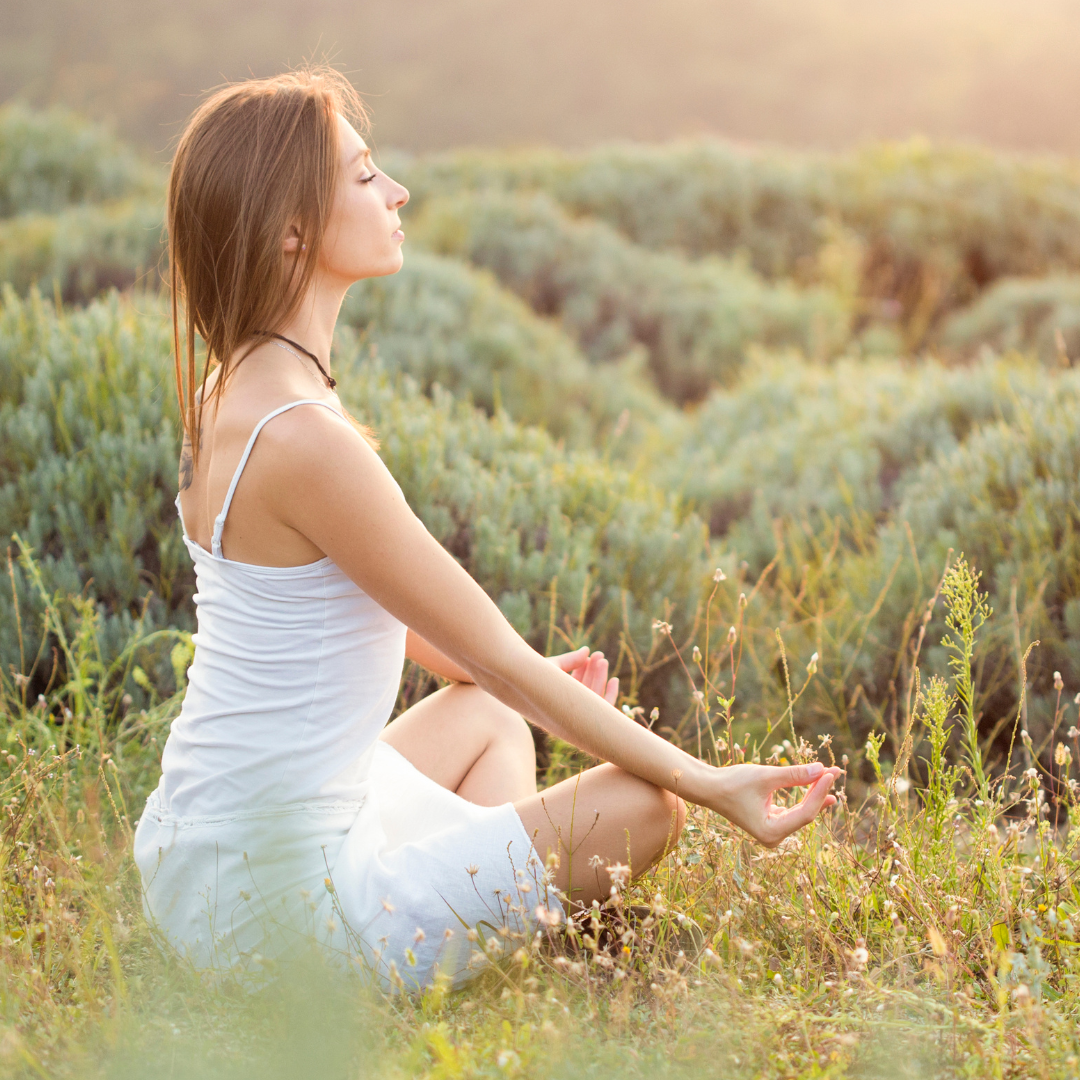 Top Plants for a Zen Sanctuary