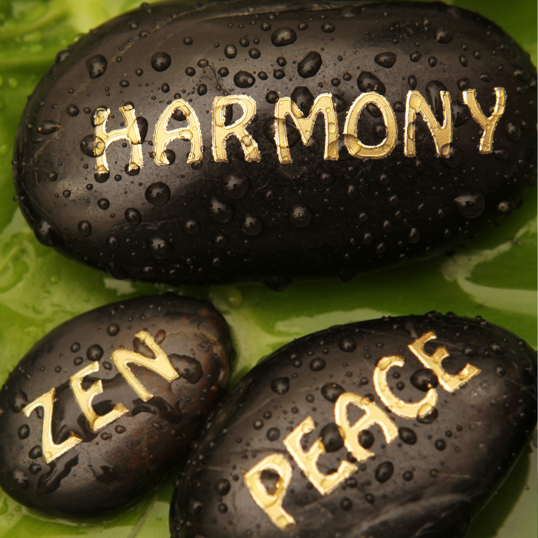 The Zen of Indoor Gardening: Plants for Stress Relief and Mindfulness