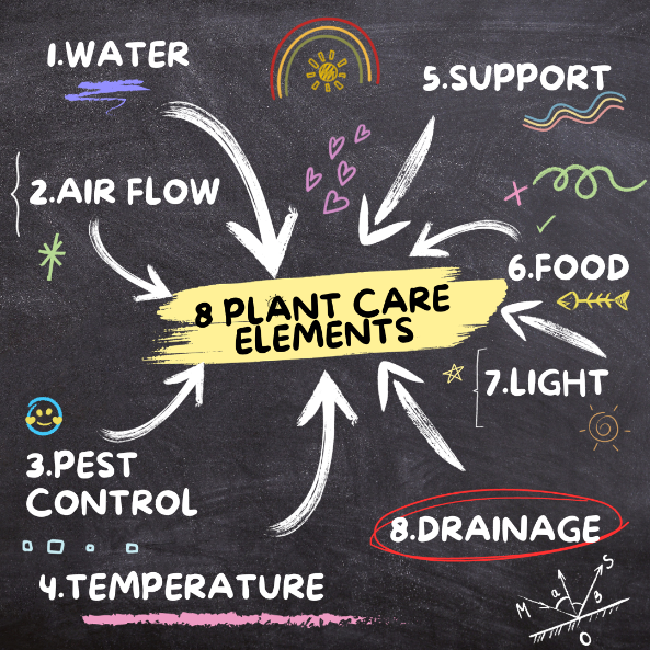 Easy Plant care elements