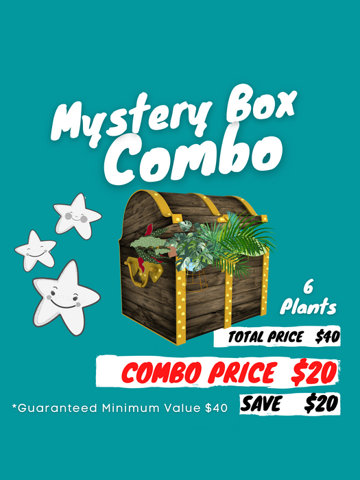 mystery box