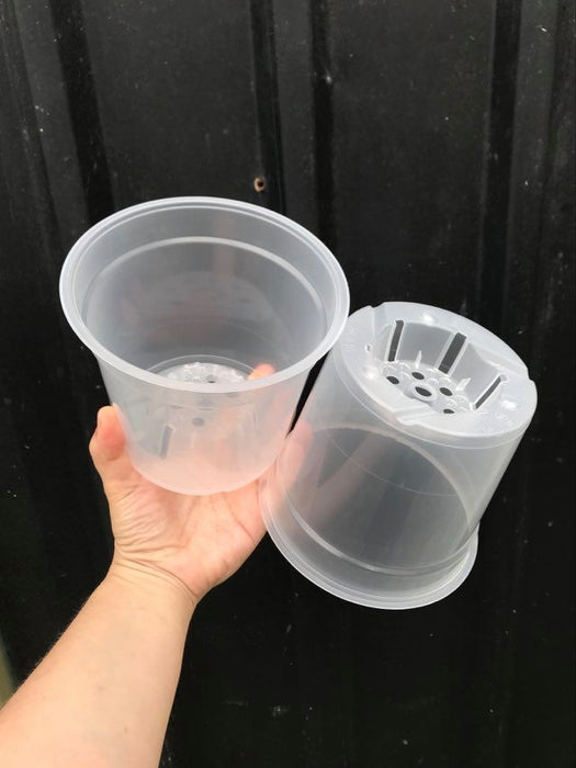 clear pots