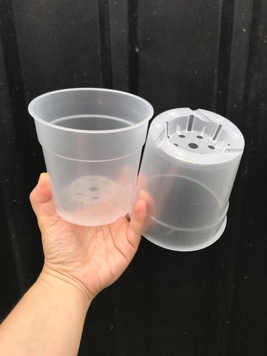 clear pots