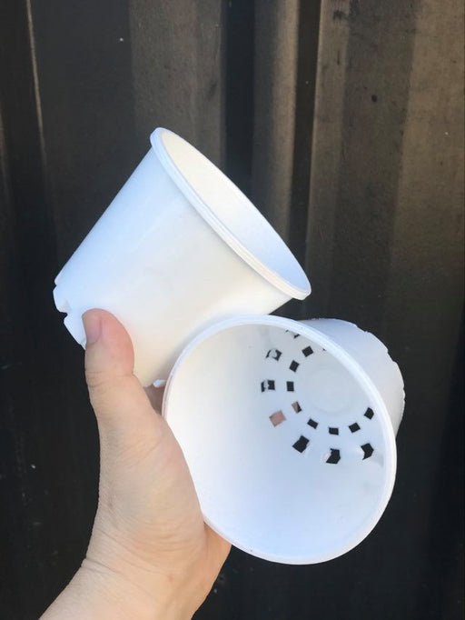 nursery pots white
