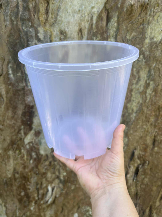Clear 200mm 2 for $8