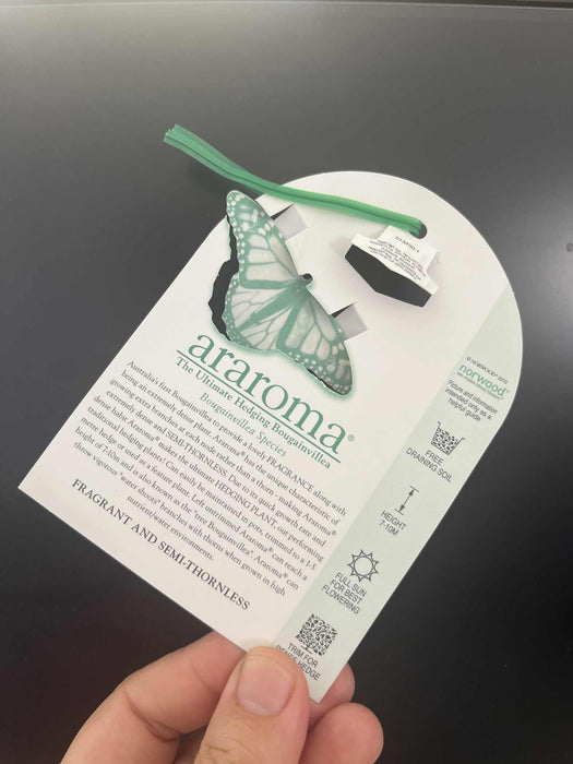 Bougainvillea Araroma Genuine Limited Edition LABEL ONLY