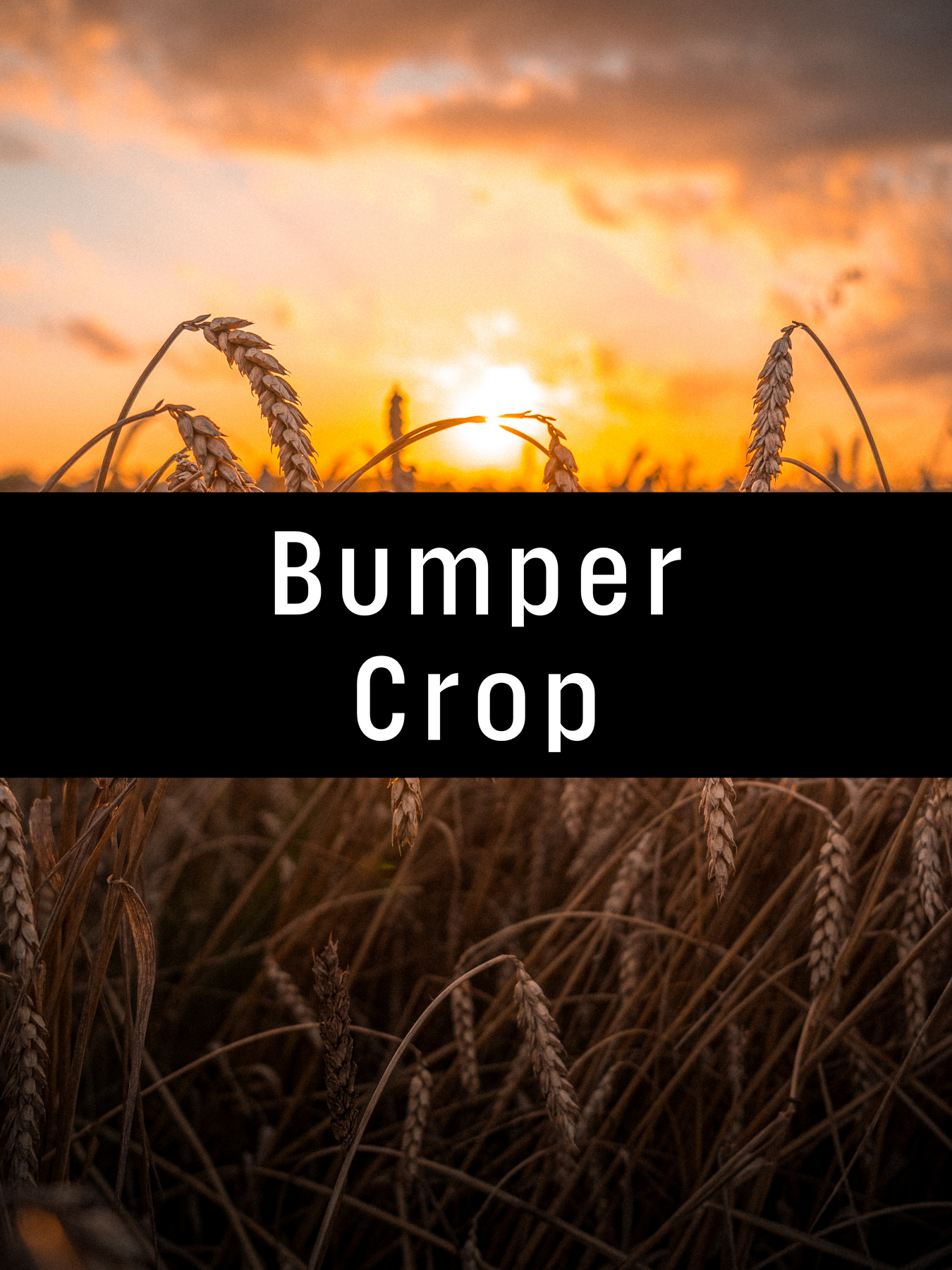 Bumper Crop