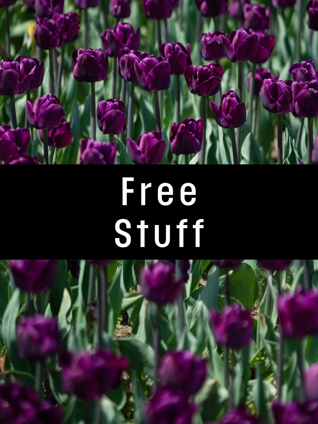 Freebies