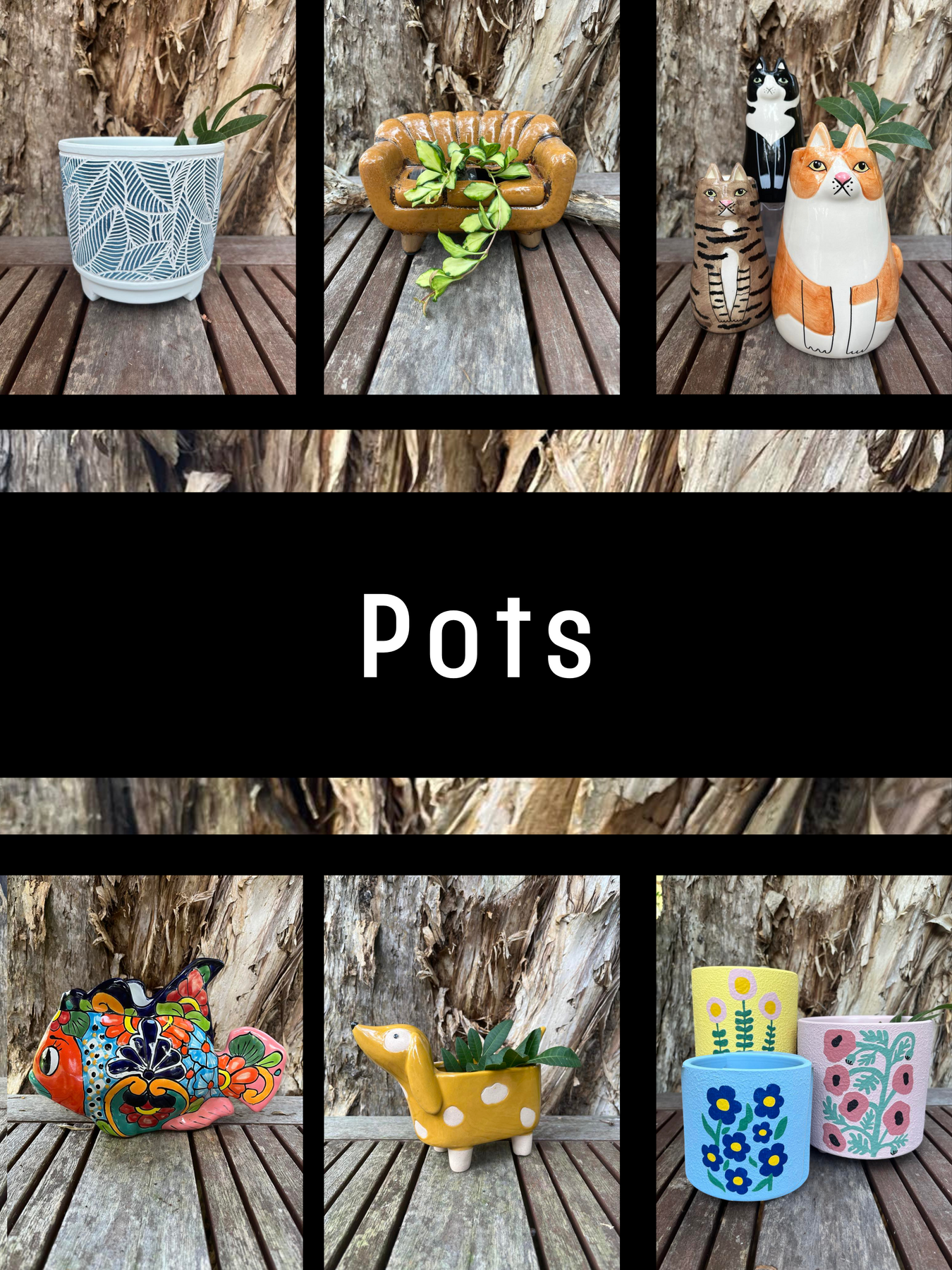 Decorative Pots and Planters