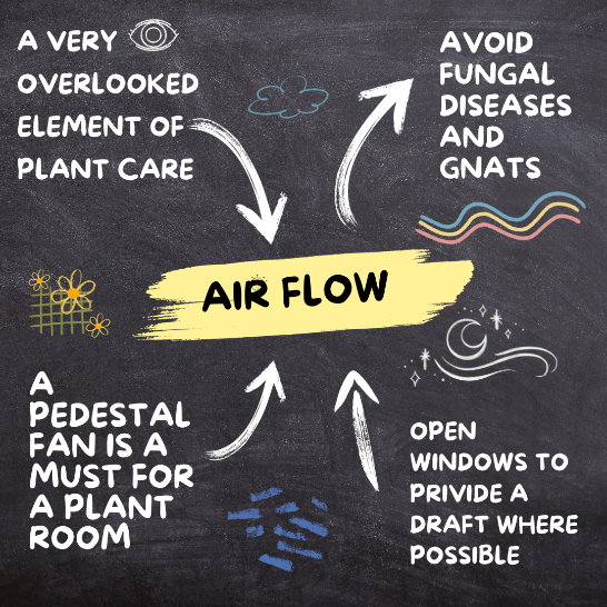 7. Air Flow