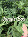 BYOB "Build your own jungle" box: Custom overgrown aroids