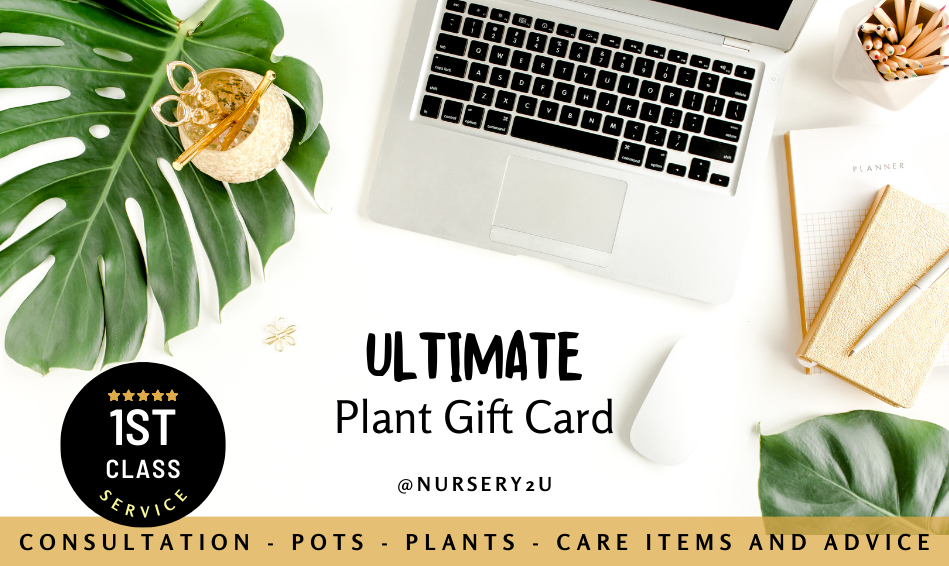 Ultimate Gift Card Experience $250