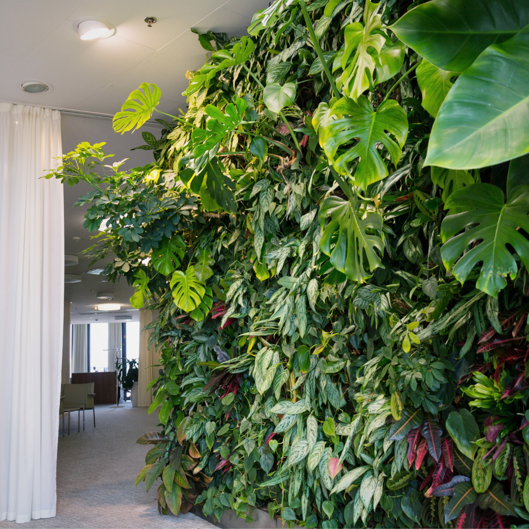 The Vertical Garden: A New Dimension in Plant Display