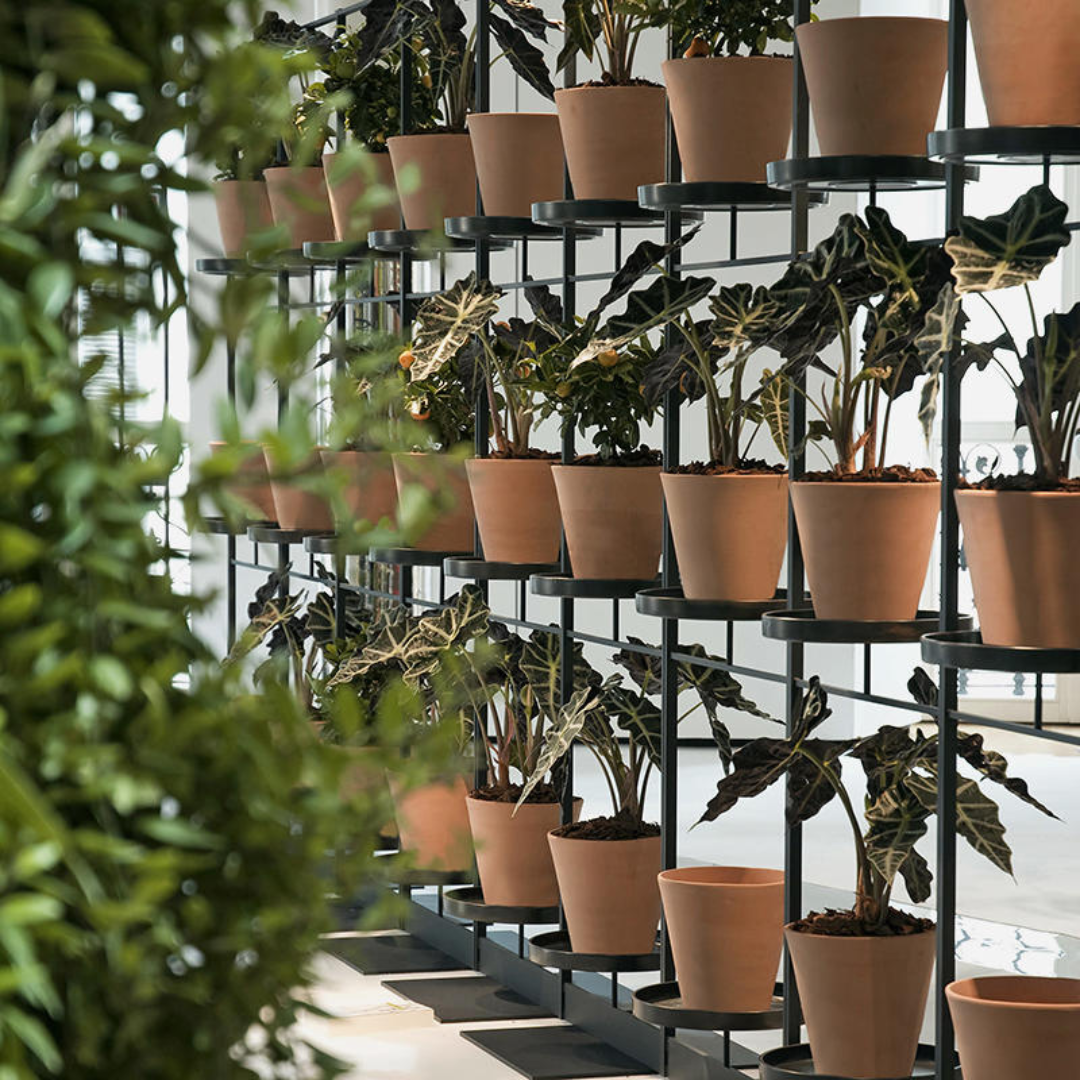 Plant Stands: A Stage for Your Green Friends