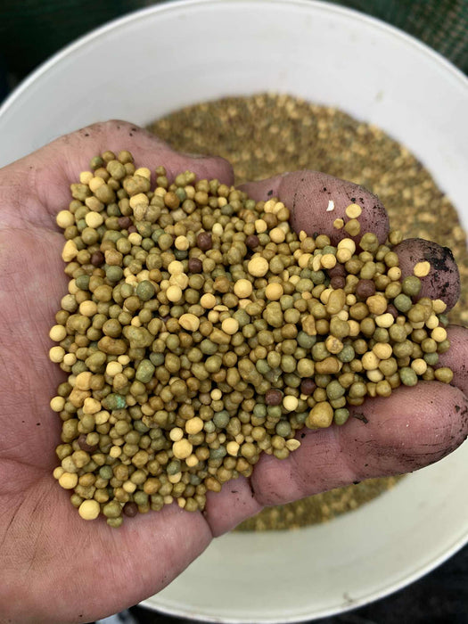 Professional Caladium Specific Fertilizer©