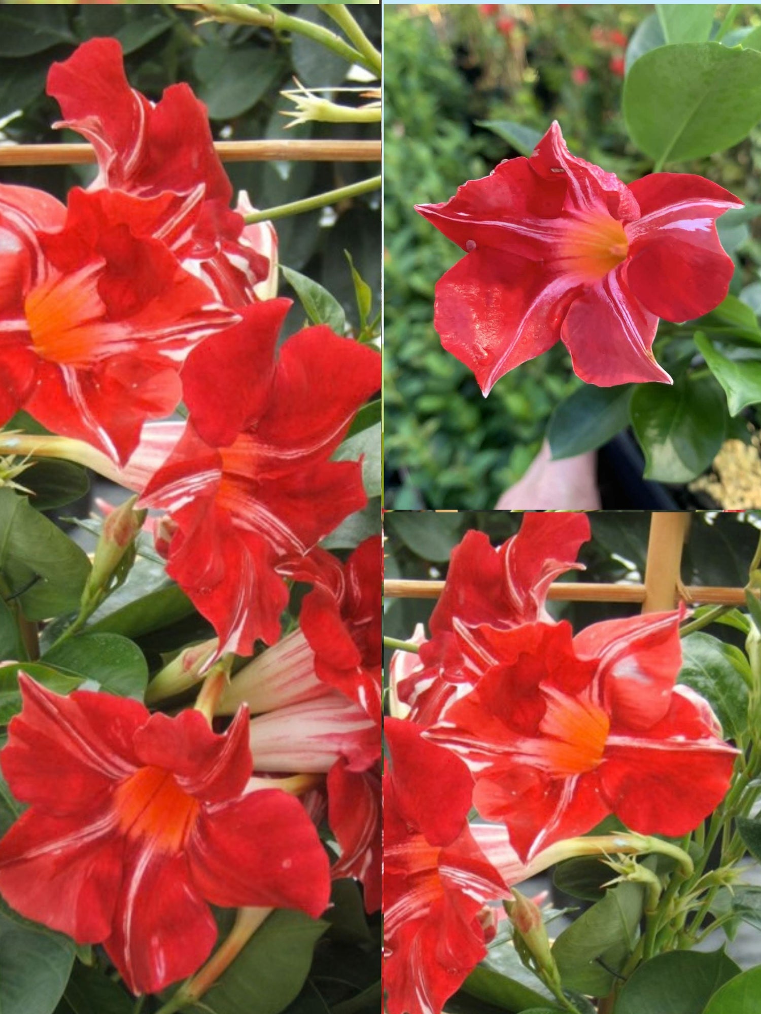 Why Dispatch Timing Matters in Summer