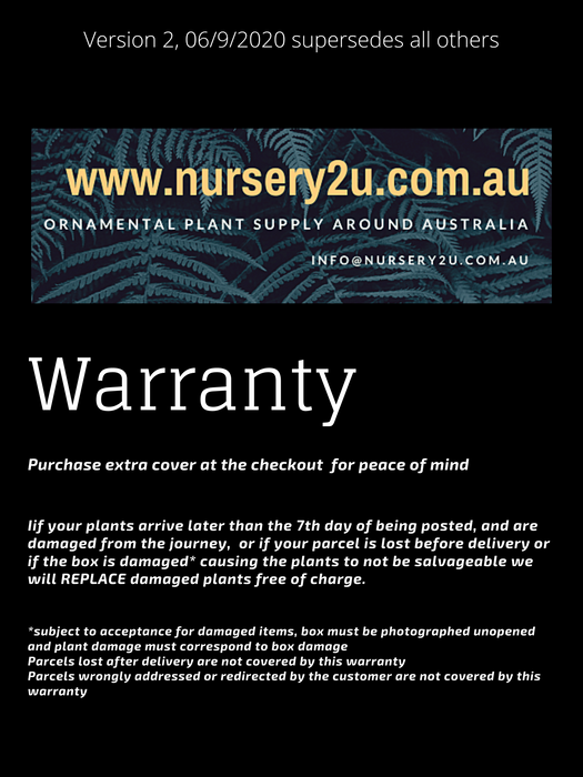 warranty