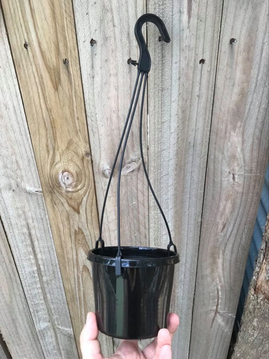 black hanging pot