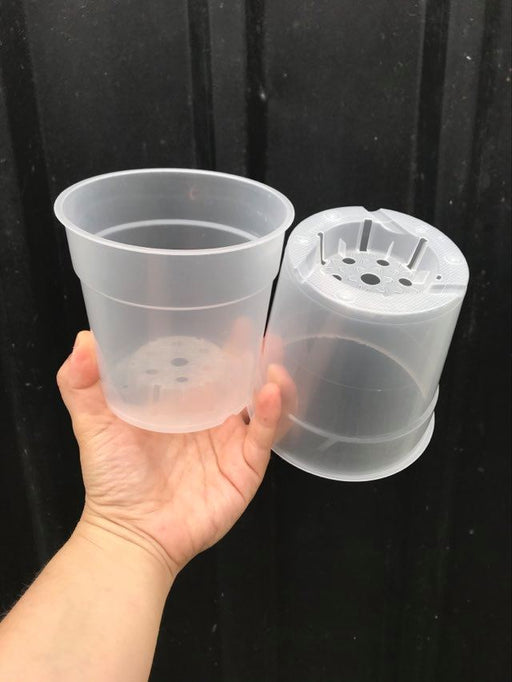 clear pots 