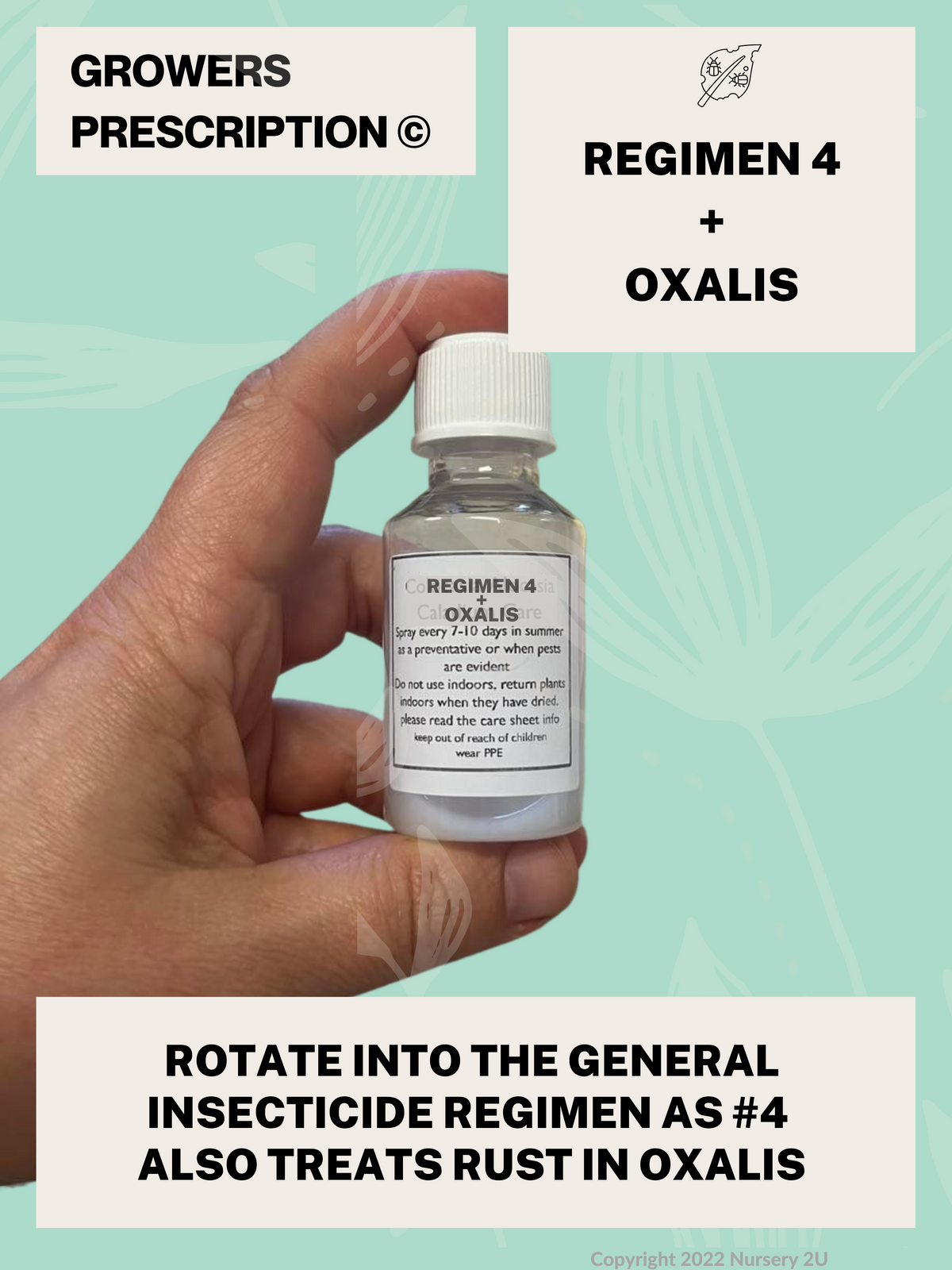Regimen 4 + Oxalis © — Nursery 2 U