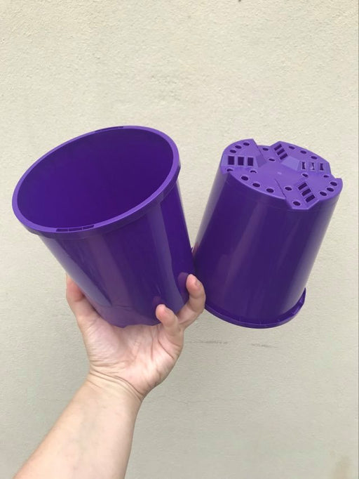 purple pots